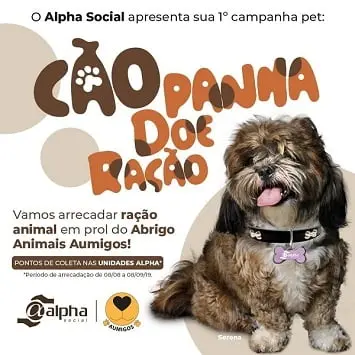 Rede Alpha Fitness promove ‘Cãopanha’ para arrecadação de ração para animais acolhidos em abrigos